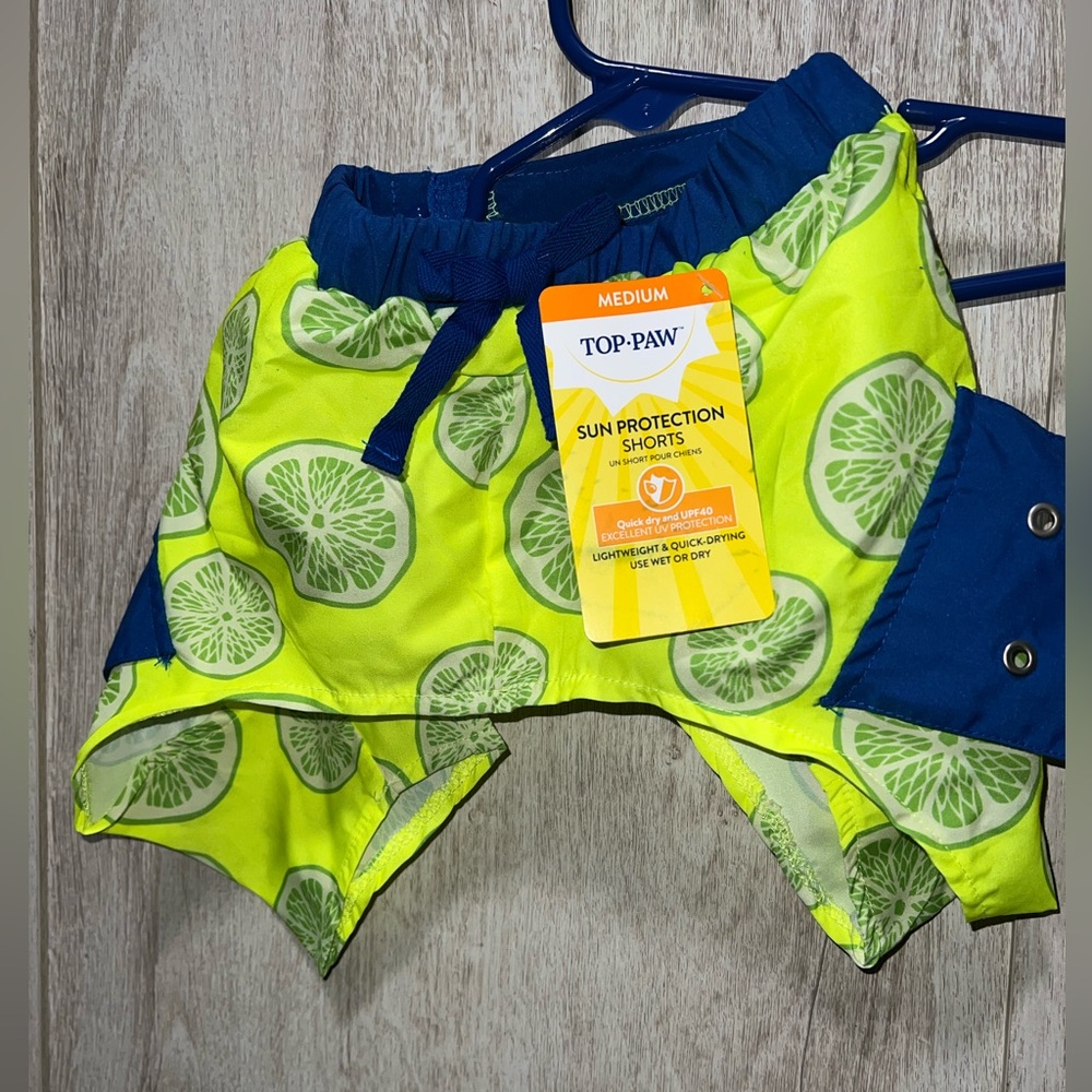 Dog Swim Shorts
